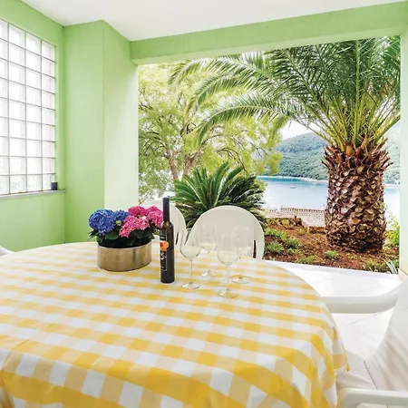 Apartament Gorgeous In With Kitchen